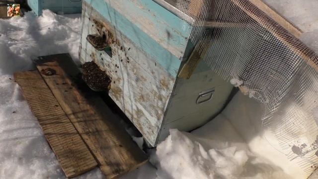 Неожиданный сюрприз: семьи опоносились. 💩 смотреть онлайн