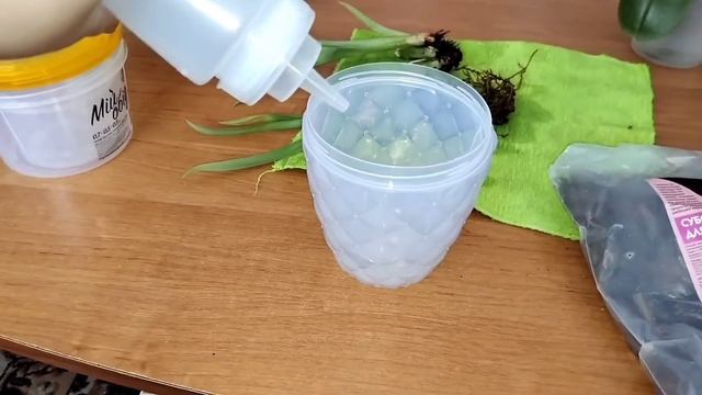 Не повторяйте эту ошибку! Это убивает корни ОРХИДЕЙ!