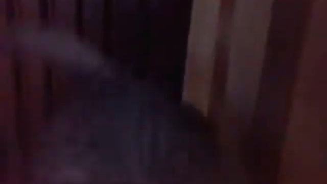 Моя кошка Марго. смотреть онлайн