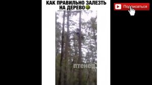 Дебилы 100 Уровня/Дебилы 80 уровня/ Приколы/ Угар/ 2020