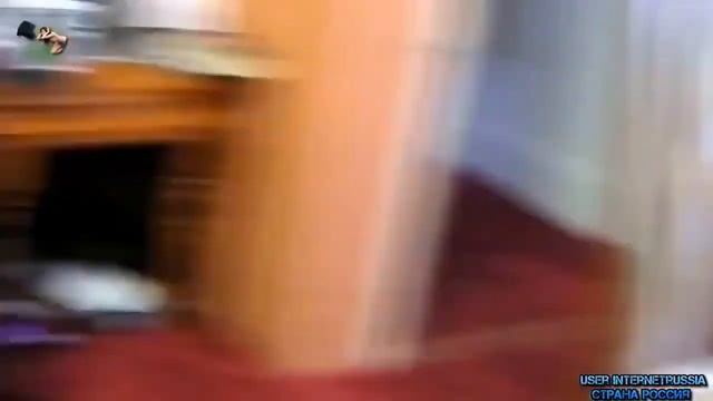 ПРИКОЛЫ С КОТАМИ! Смешные, забавные кошки и котята играют с воздушными шариками Очень ржачно! смотреть онлайн