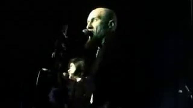 Шмели-Боль