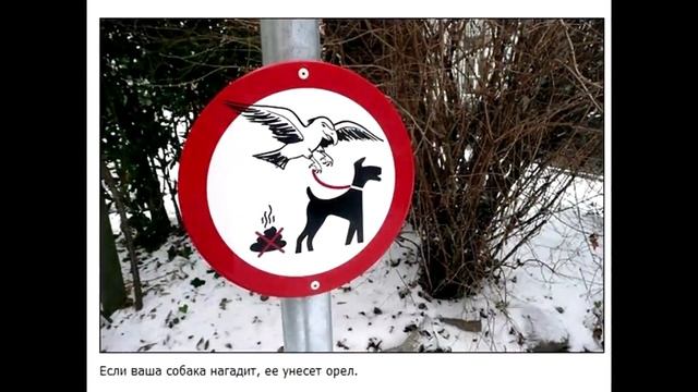 прикол идиотские знаки тупей не придумаешь, хотя......... смотреть онлайн