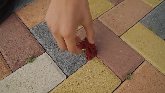 Моисей+Роза, история любви, видеосъемка: тел.8 905 466 65 81