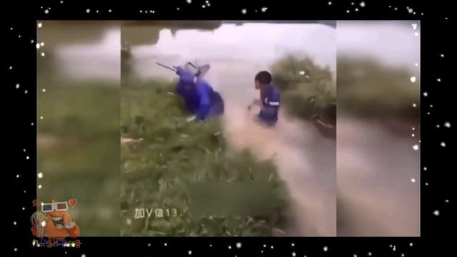 // ПОЗИТИВ // ПРИКОЛЬНАЯ ПОДБОРКА ВИДЕО 2017 #3 // смотреть онлайн