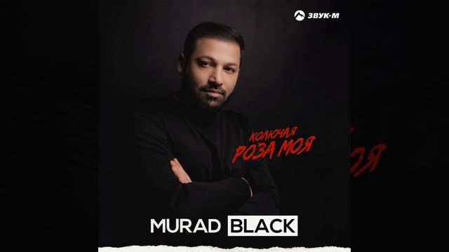 Колючая роза моя