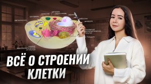 Строение клетки для ЕГЭ по биологии (Задания 5, 6, 7, 8) | Умскул