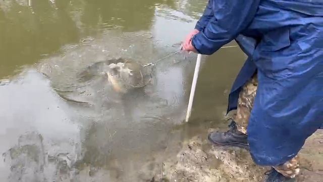 21.05.25 г. Парк отдыха водопад смотреть онлайн