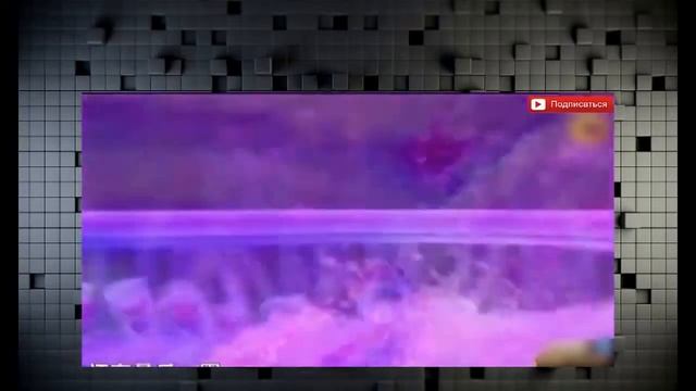 Видео приколы для всех, мега хит. смотреть онлайн
