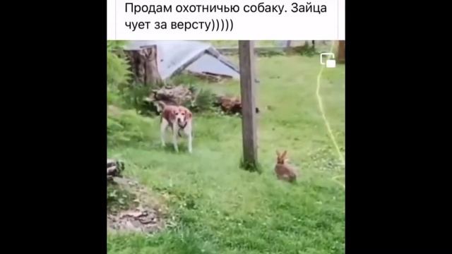 ПРИКОЛы 2022 ДО СЛЁЗ, ТОП, ПОДБОРКА ИНСТАГРАМ, ТИКТОК, ЮТУБ СВЕЖЕЕ! (ВЫПУСК 12)