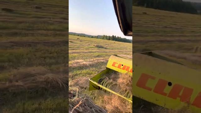 Пресс подборщик Claas Markant 40