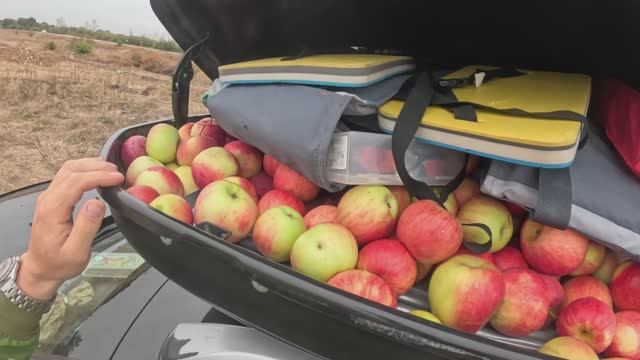 Санкт Петербург 14 часть Финал