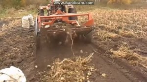 Картофелекопалка двухрядная  на Т 25 Самодельная.
