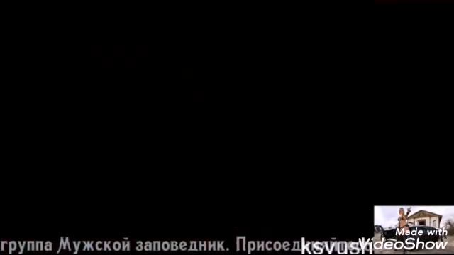 Угарные приколы из мультфильма симба смотреть онлайн