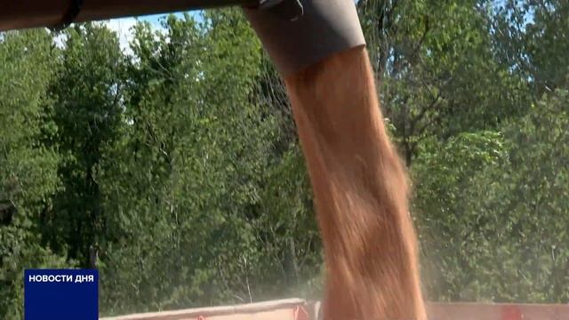 ГОТОВЫ ЛИ ЭЛЕВАТОРЫ ПРИНЯТЬ ЗЕРНО НОВОГО УРОЖАЯ? смотреть онлайн