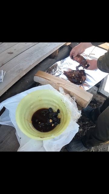 Готовим мясо в углях, вкусно на природе смотреть онлайн