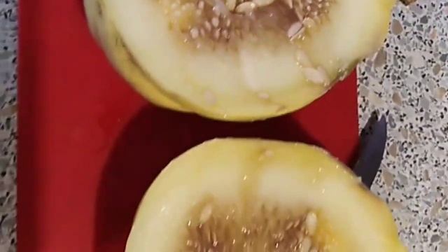 Дыня Бига. Урал.