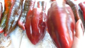Перец Свит Поинт и Квадро