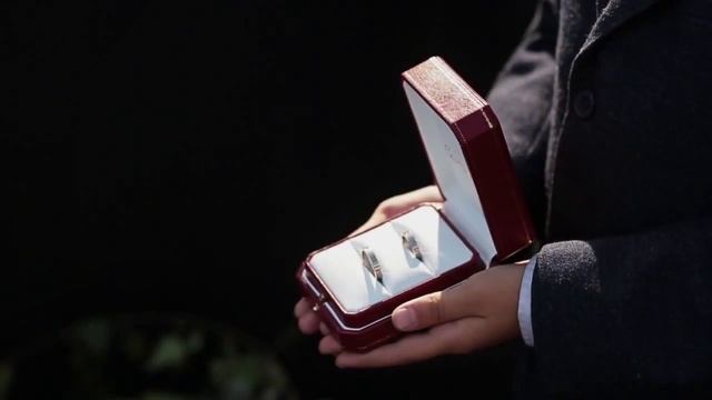 SDE Слава и Арина / Wedding VIP смотреть онлайн