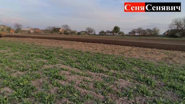 Продам китайця і куплю Т-40, по ціні дешевше чим Китай, є