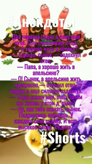 Анекдоты 😂😂😂 В навозной куче 🤣🤣🤣 #Shorts. смотреть онлайн