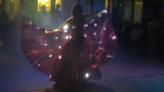 Арина Бахижа_Импро (Крылья со светодиодами)