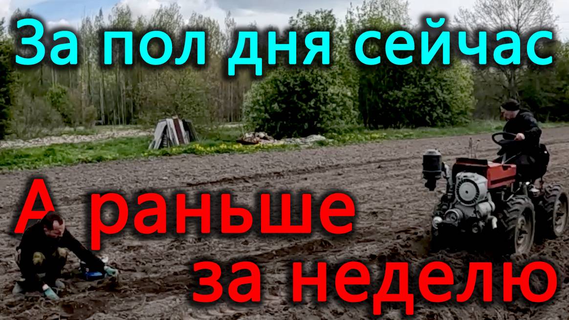 Посадили картошки больше, чем когда либо. Высадили помидоры в теплицу. Ане уже три года. смотреть онлайн