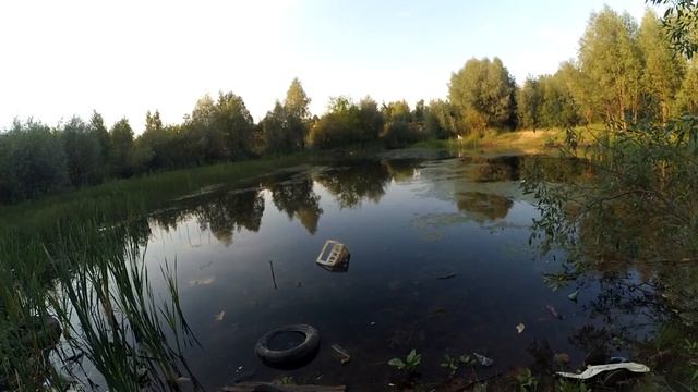 Что стало с прудиком, который мы чистили. Клюёт ли ротан в "горячей" воде. Подарки из Сибири! смотреть онлайн