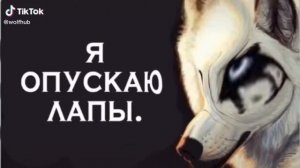 АУФ ВЫКАТЫВАЕМ СО ДВОРОВ АУФ