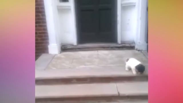 Не нужно сдерживать улыбку|ПРИКОЛЫ| смотреть онлайн