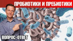 Микрофлора кишечника 👉 пребиотики питают плохие бактерии?!