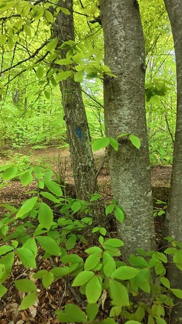 Оцените .... смотреть онлайн