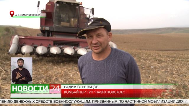 В ГУПе "Назрановское" собирают урожай кукурузы смотреть онлайн