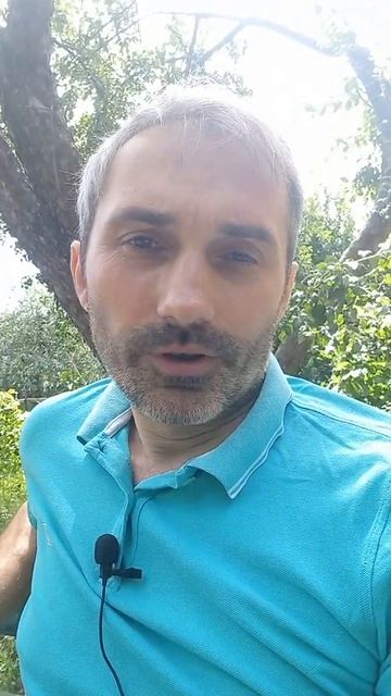 Тост про первого гаишника. Тосты, шутки,смешные анекдоты