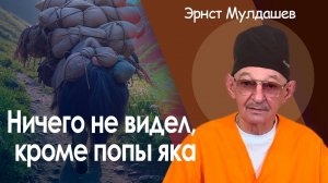 Ничего не видел, кроме попы яка.