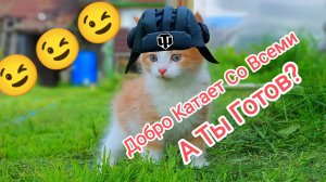 Добро Катает Со Всеми_А Ты Готов К Бою ?  Tanks Blitz Танкиблиц Танки Блиц Танк Блитз Танкс