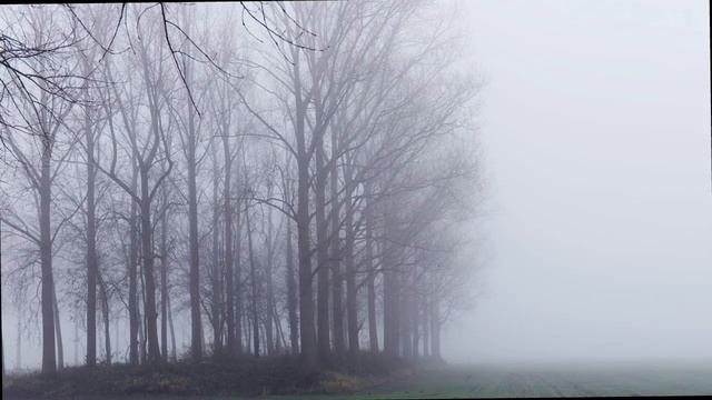 мирный квартал