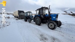 Синий трактор беларусь Мтз
