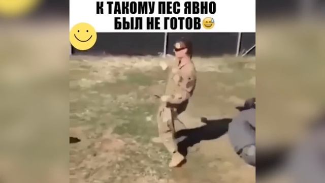 ЛУЧШИЕ ПРИКОЛЫ 2022 / Я РЖАЛ ДО СЛЕЗ / РЖАКА И УГАР / ЗАСМЕЯЛСЯ - ПОДПИСАЛСЯ | ВЫПУСК 13 смотреть онлайн