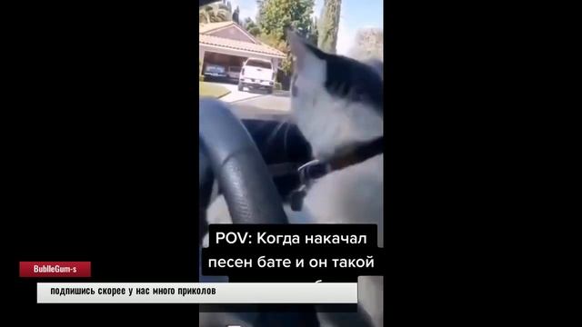 приколы, смотреть до конца, топовая подборка приколов из сети#2 смотреть онлайн