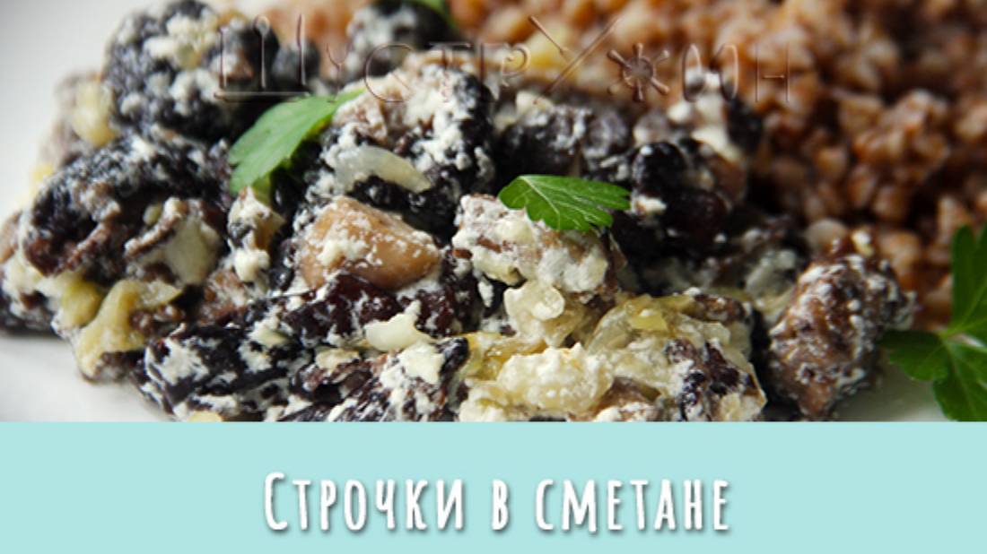 Грибы строчки в сметане. Как приготовить строчки со сметаной. смотреть онлайн