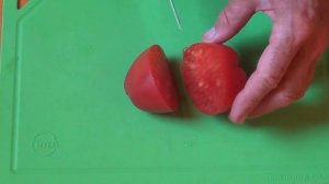 ТОМАТ СЕРДЦЕ ИТАЛИИ. У меня он не получился.