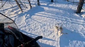 Обзор самого бюджетного 4-х тактного снегохода BRP. Lynx 59