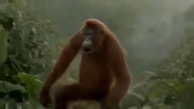 приятного дня смотреть онлайн