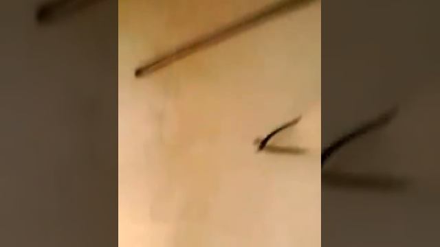 Здравствуй , бабушка, год не виделись смотреть онлайн