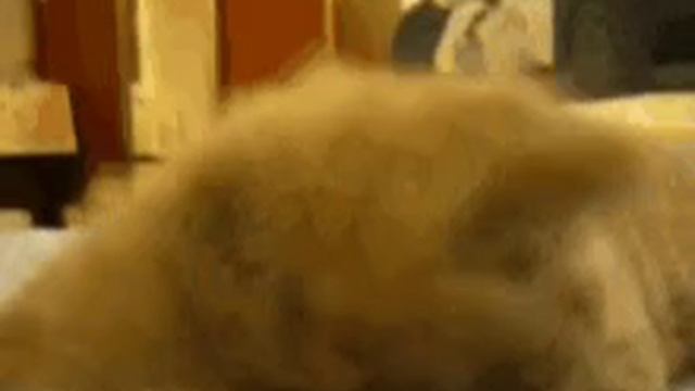 Когда я пересмотрел все сезоны Симсонов