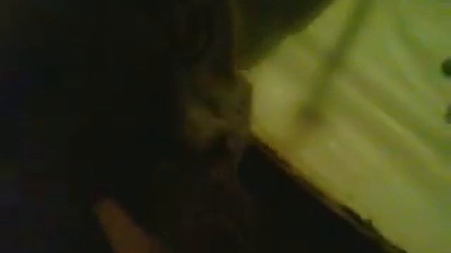 Ева родила 3