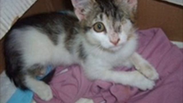 Это лучший прикол что я когда либо видел смотреть онлайн