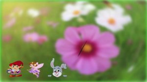 Любимой внучке : от бабушки !!!