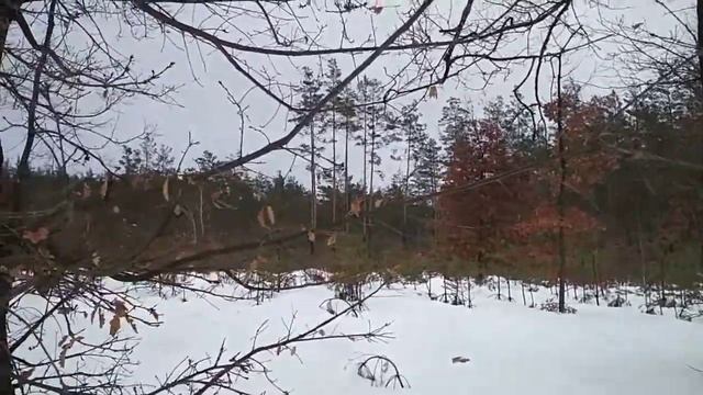 2 февраля И скучно и грустно смотреть онлайн